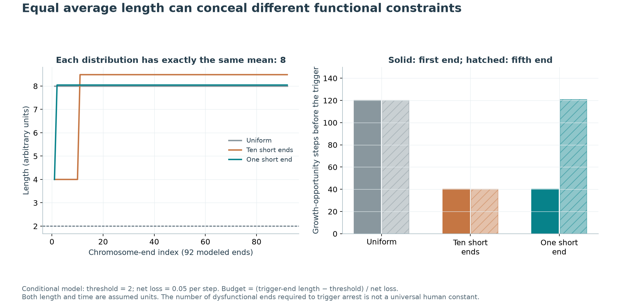 Equal average telomere length with different short ends and arrest conditions