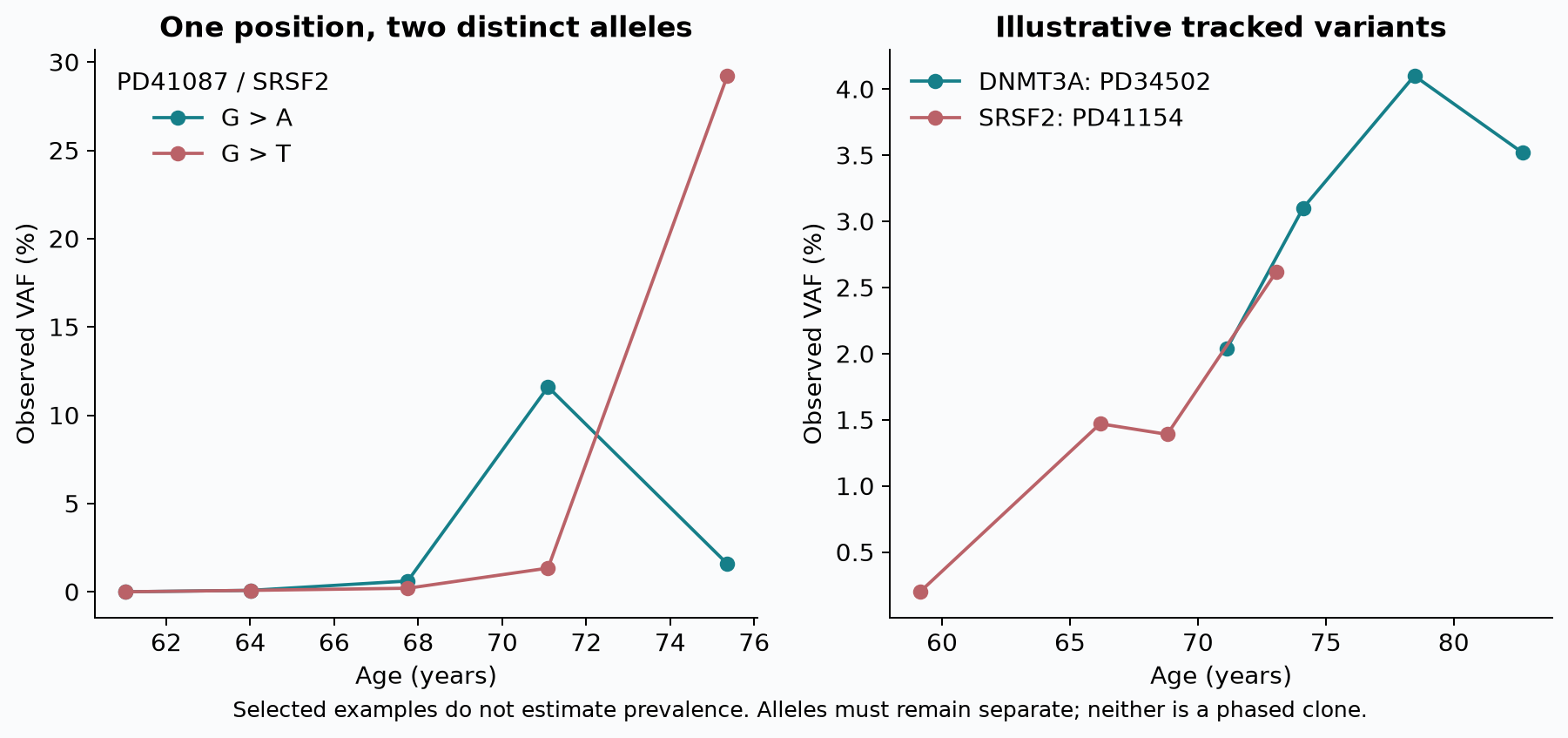 Distinct alleles retained in example trajectories