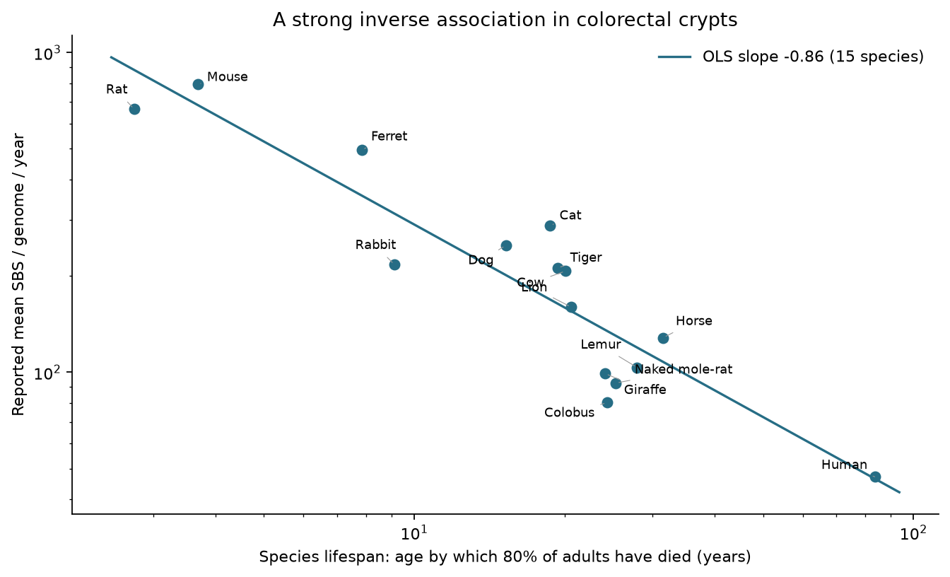 Published species means and our regression; lifespan is the age by which 80% of adults have died