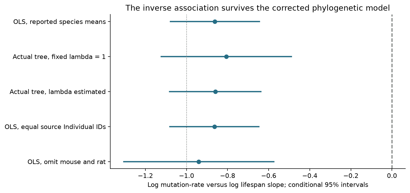 Corrected phylogenetic and aggregation comparisons; intervals are conditional on the respective model assumptions
