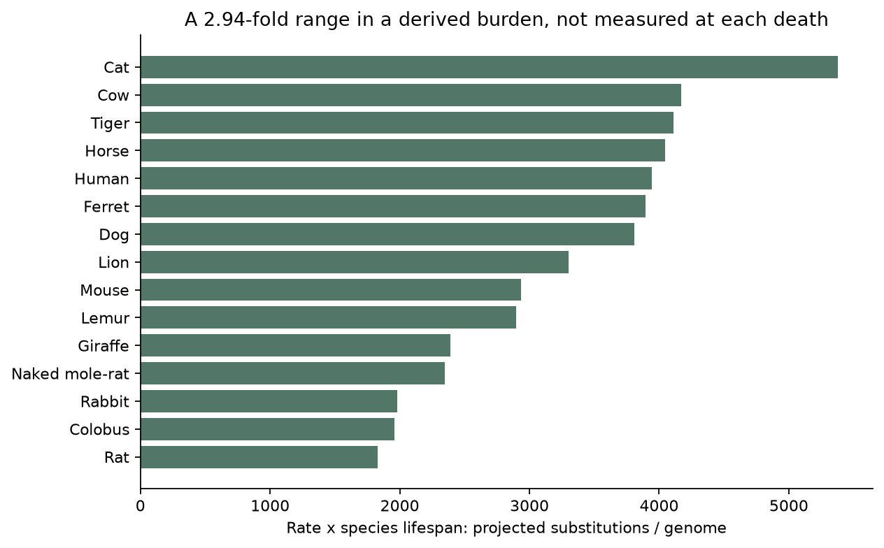 Projected rate-times-lifespan burdens, not mutation burdens measured at each donor's death