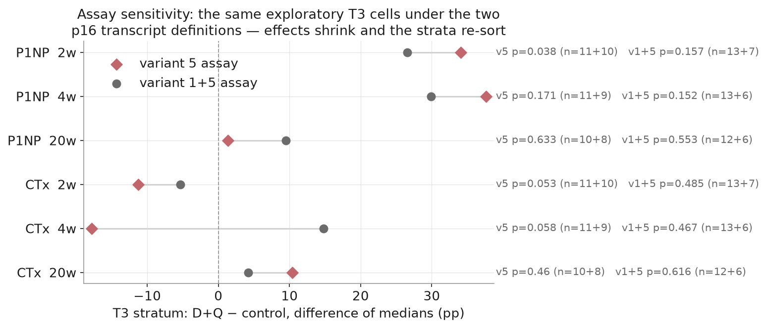 The same T3 cells under two p16 assay definitions