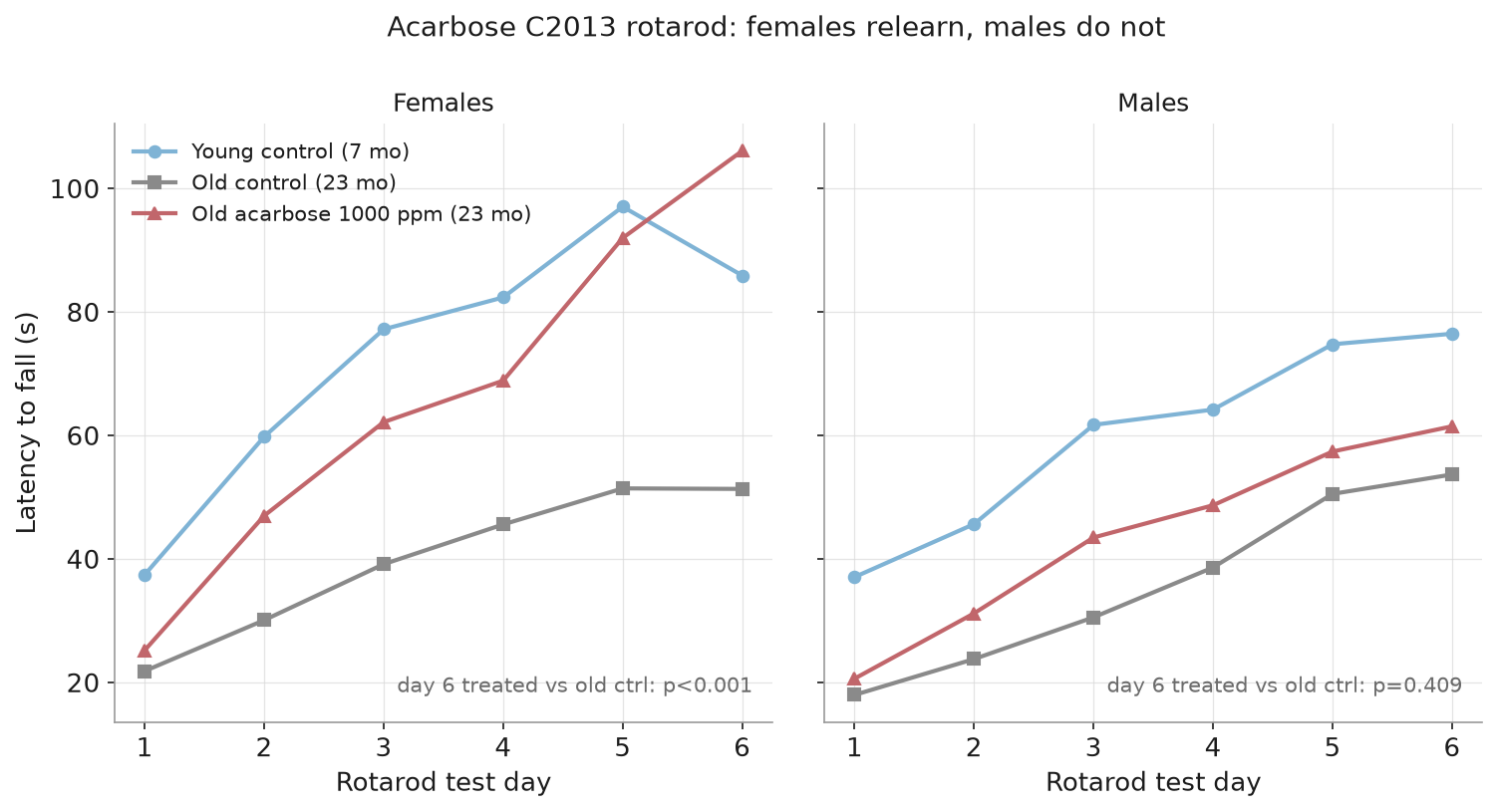 Acarbose rotarod: females relearn, males do not