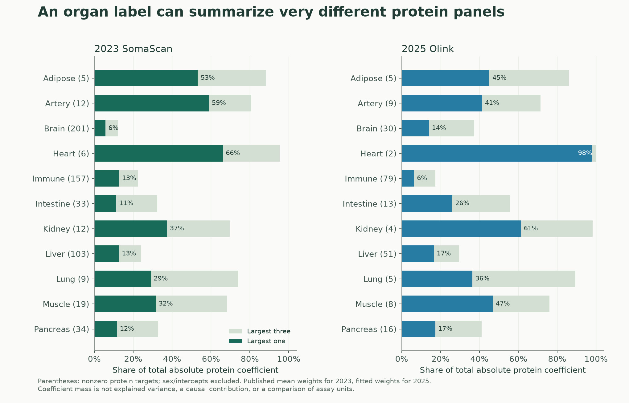 Concentration of protein coefficient weights in two generations of organ models