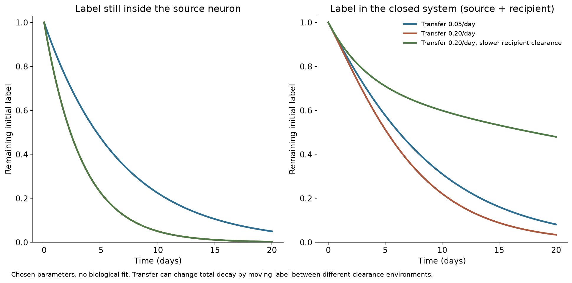 Disappearance from the producer differs from disappearance from the whole closed system