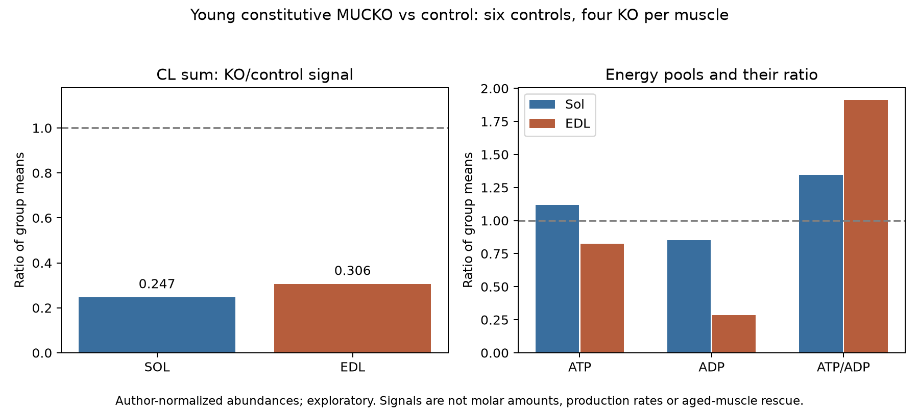 Cardiolipin and energy-denominator audit