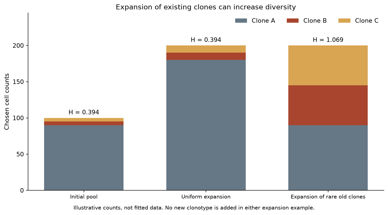 Expansion of existing clones can increase diversity