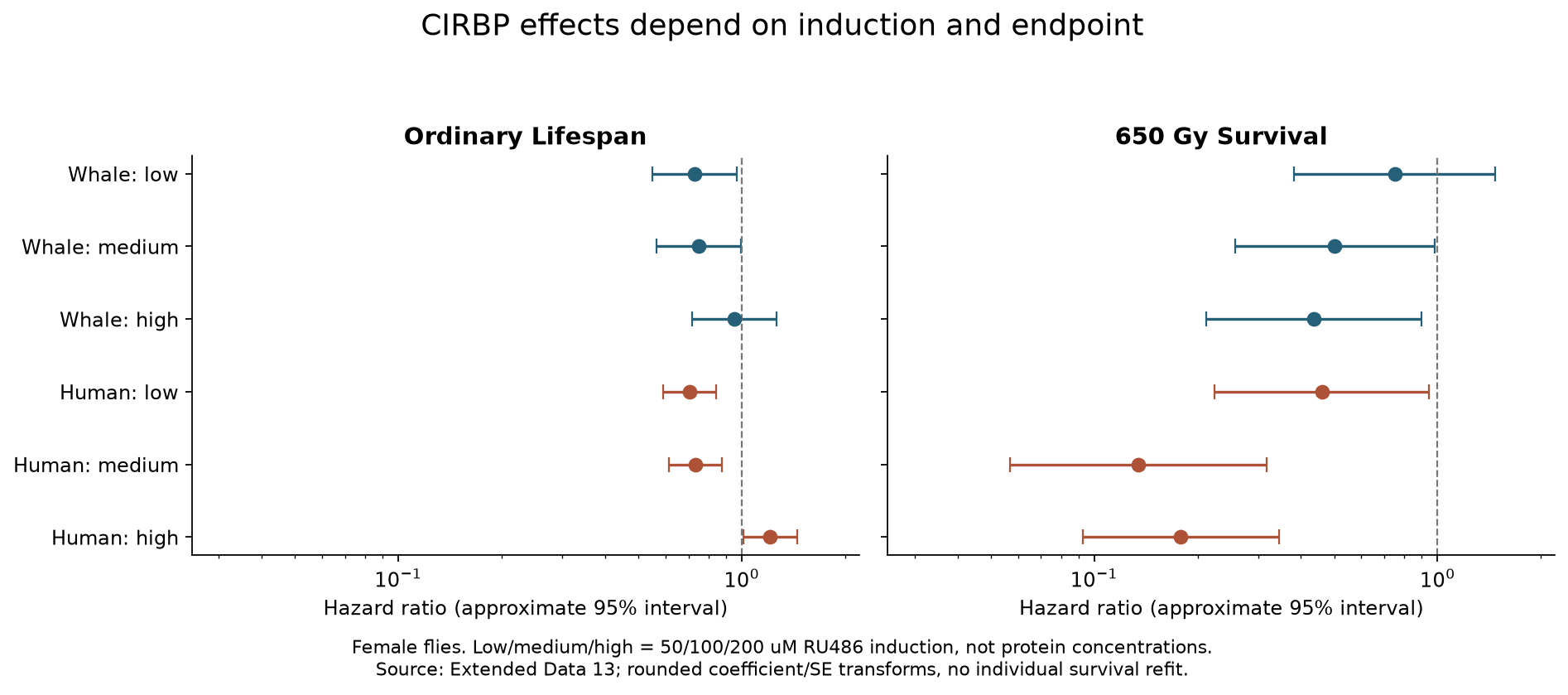 Hazard ratios across all female-fly induction levels and two survival endpoints