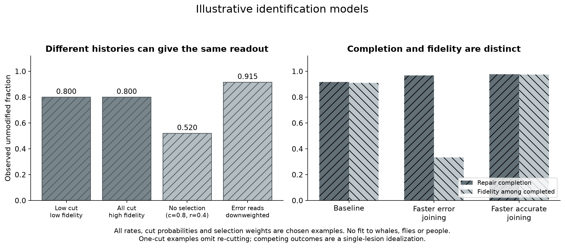 Different histories with identical unmodified readouts, and repair completion versus fidelity