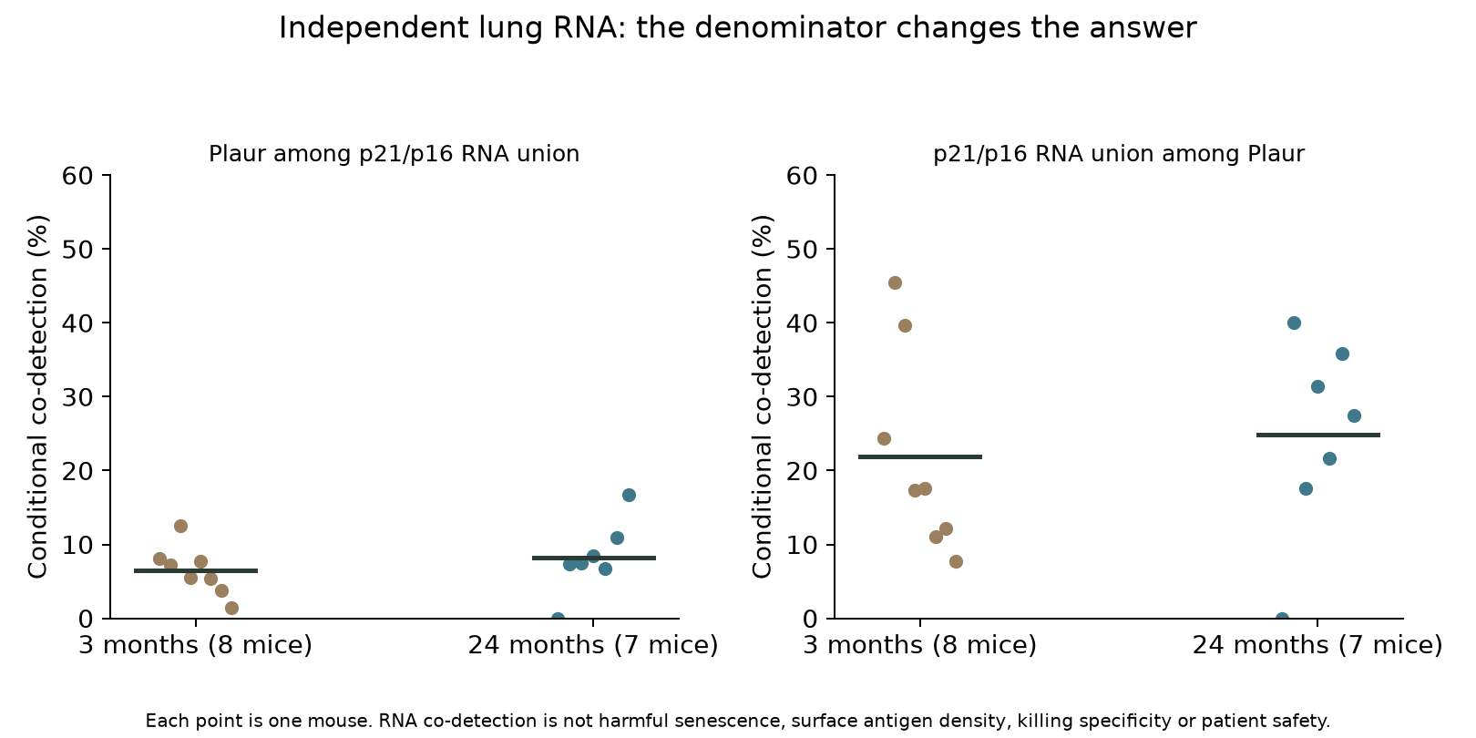 Each point is one mouse. Both conditional co-detection directions are shown. They are not senescence sensitivity, CAR-killing precision or patient safety estimates.