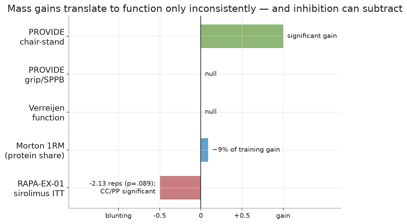 Mass-to-function translation audit