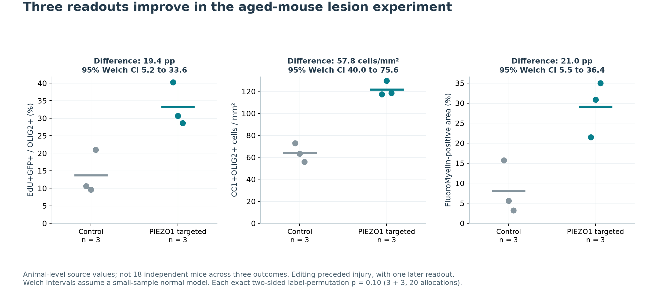Individual aged-mouse lesion readouts and between-group differences