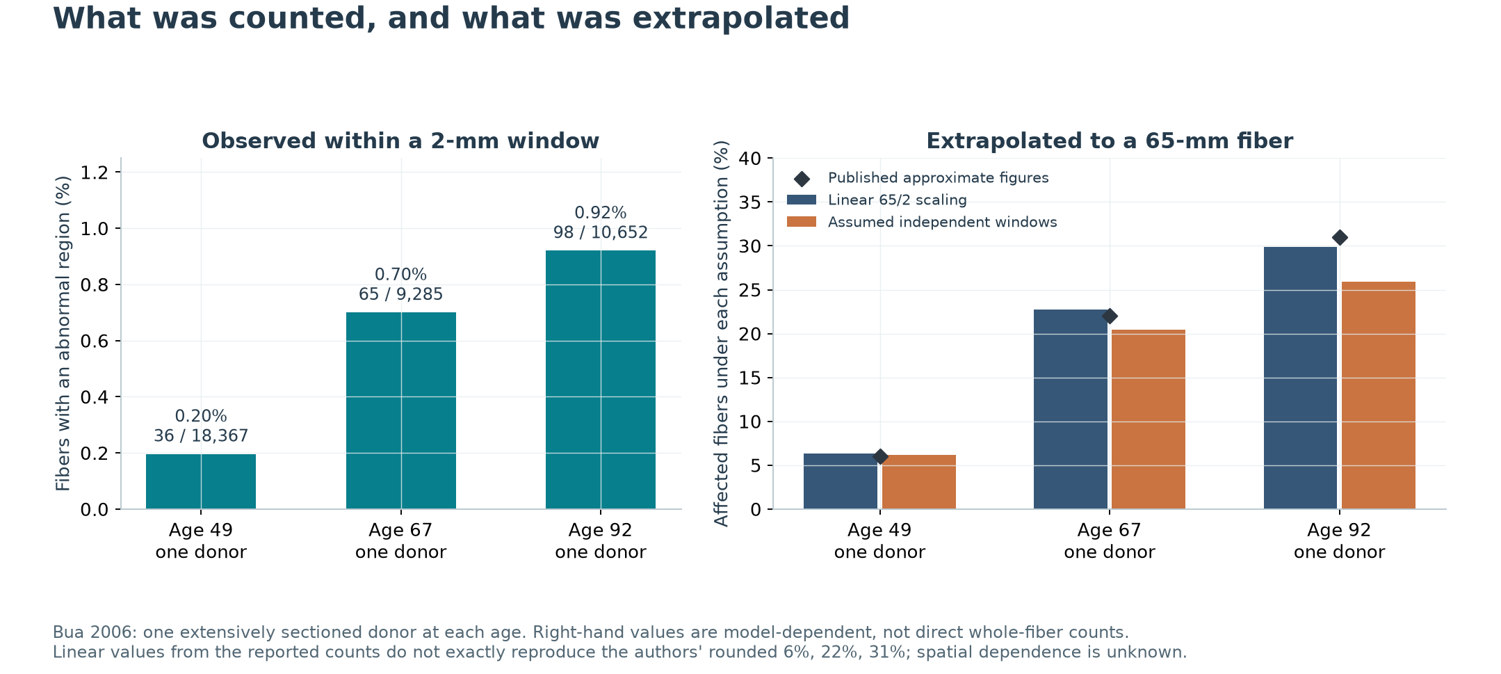 Observed abnormalities within 2 mm and extrapolations to a full-length fiber