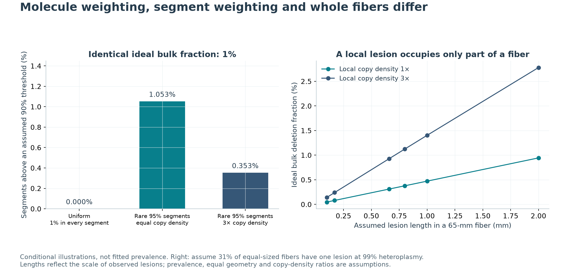 Different segment distributions at the same bulk fraction, and effects of focal lesion length