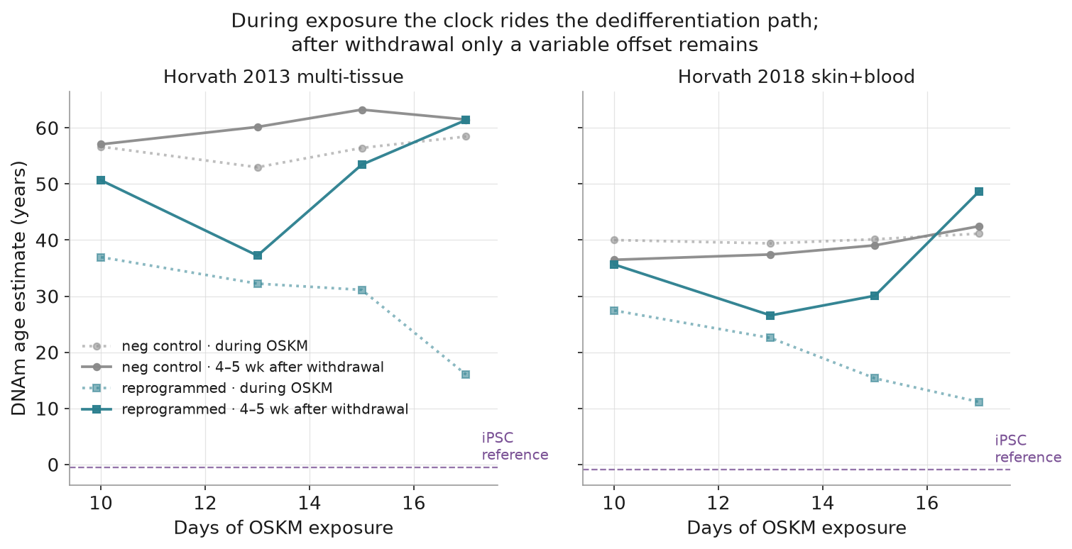 Methylation-age trajectories during vs after exposure