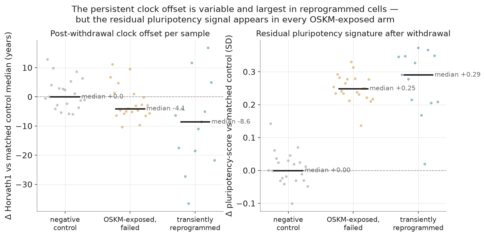 Post-withdrawal decomposition of clock offsets and pluripotency residual across the three arms